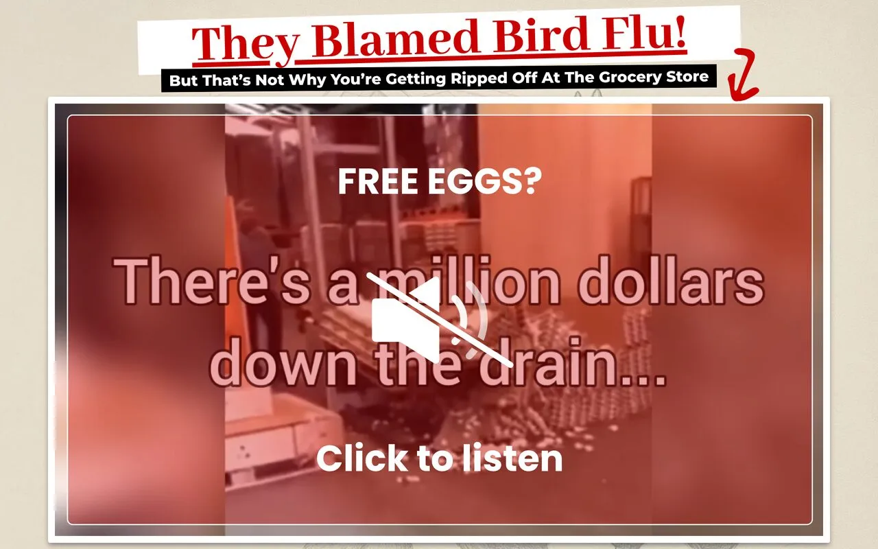 The Eggs Factory