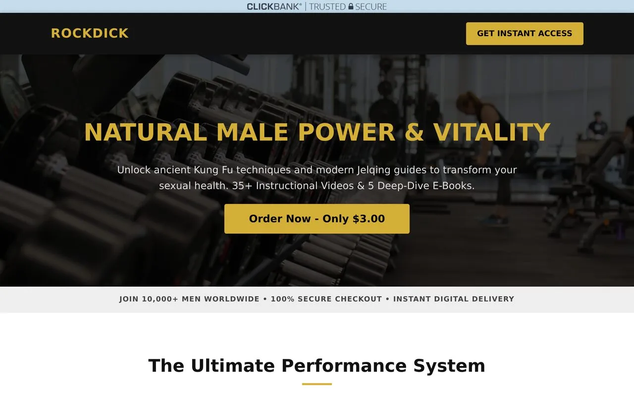 RockDick (Kung Fu Penis System)