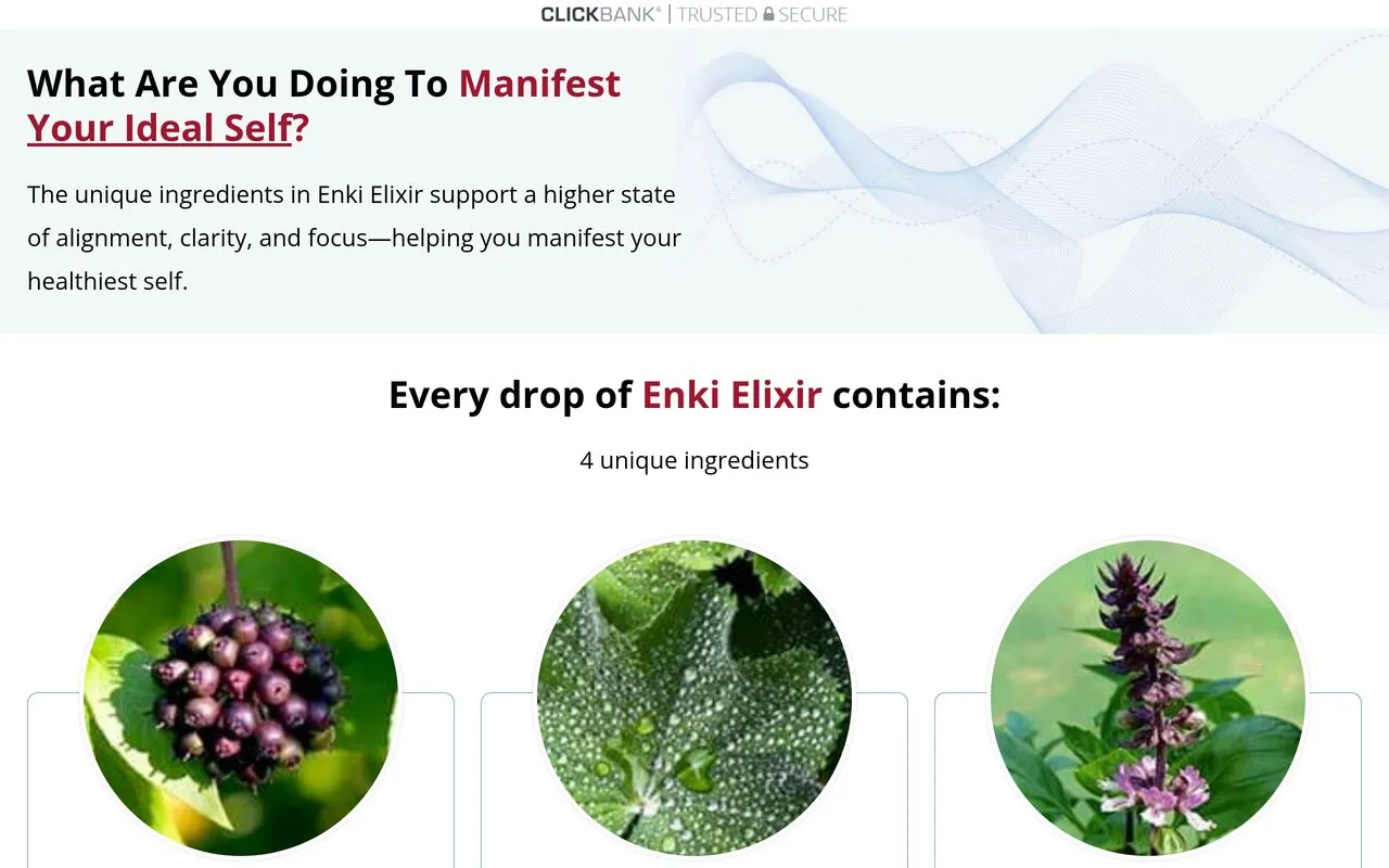 Enki Elixir