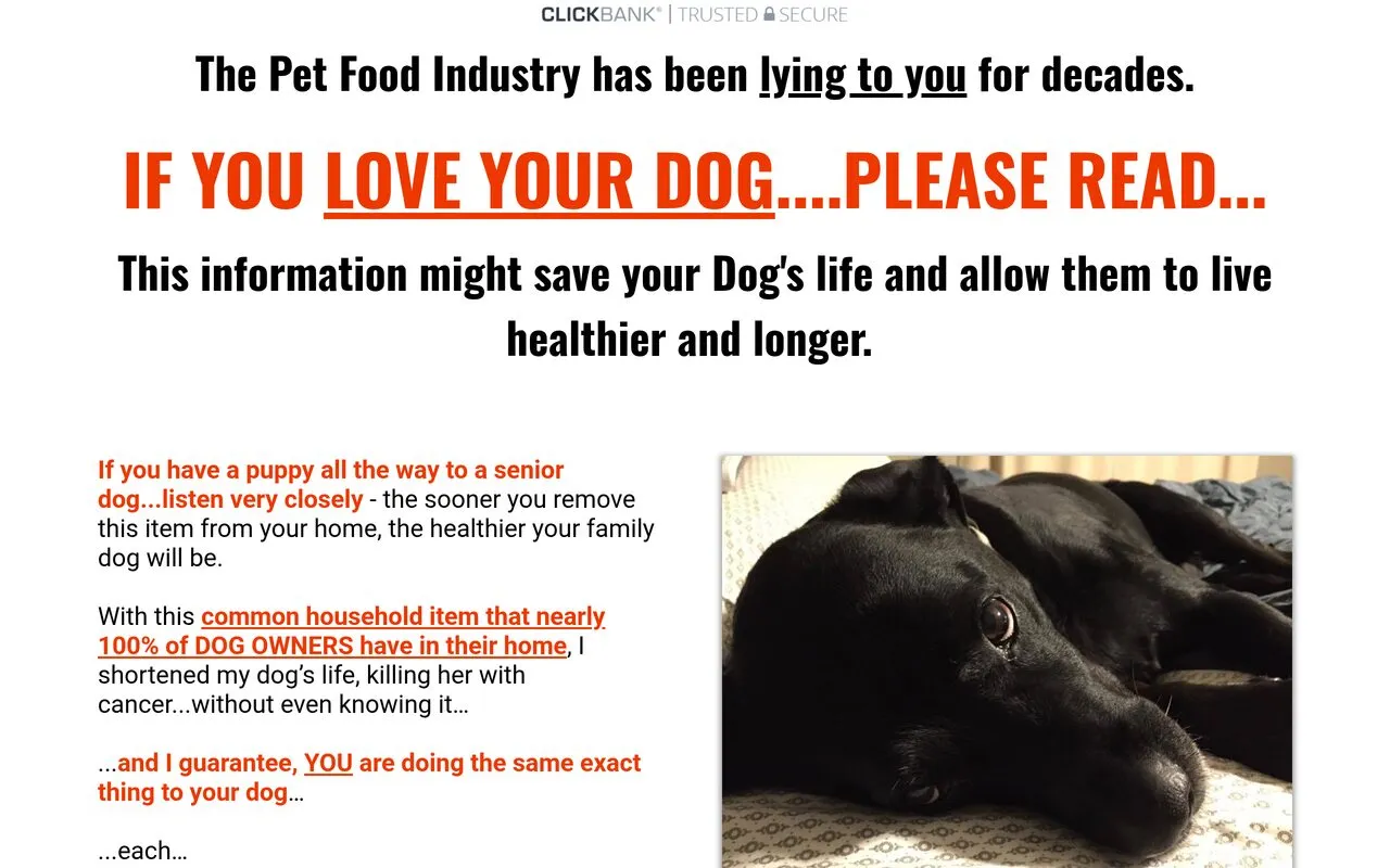 Save Your Dog (homemade dog food guide)