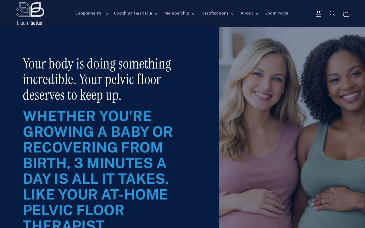 The Cooch Ball Prenatal and New Moms Program
