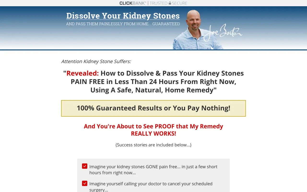 The Kidney Stone Remedy by Joe Barton