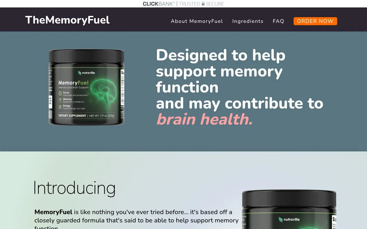 MemoryFuel