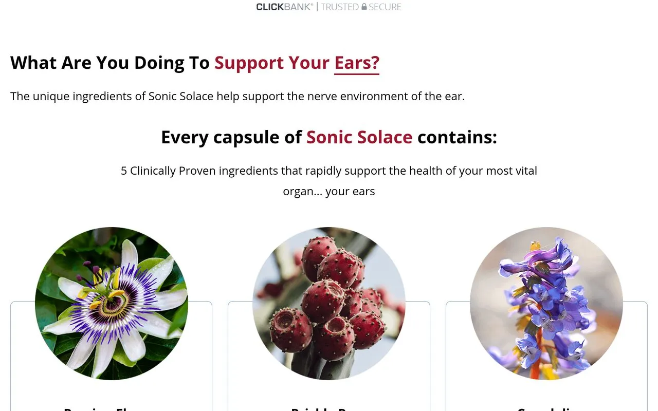 Sonic Solace