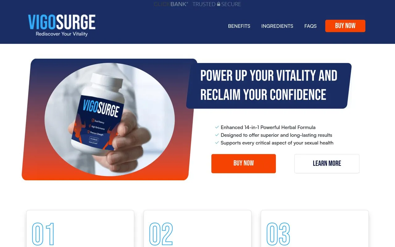 VigoSurge